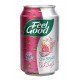 Feel Good Chá Branco com Pitaya Lata 330ml